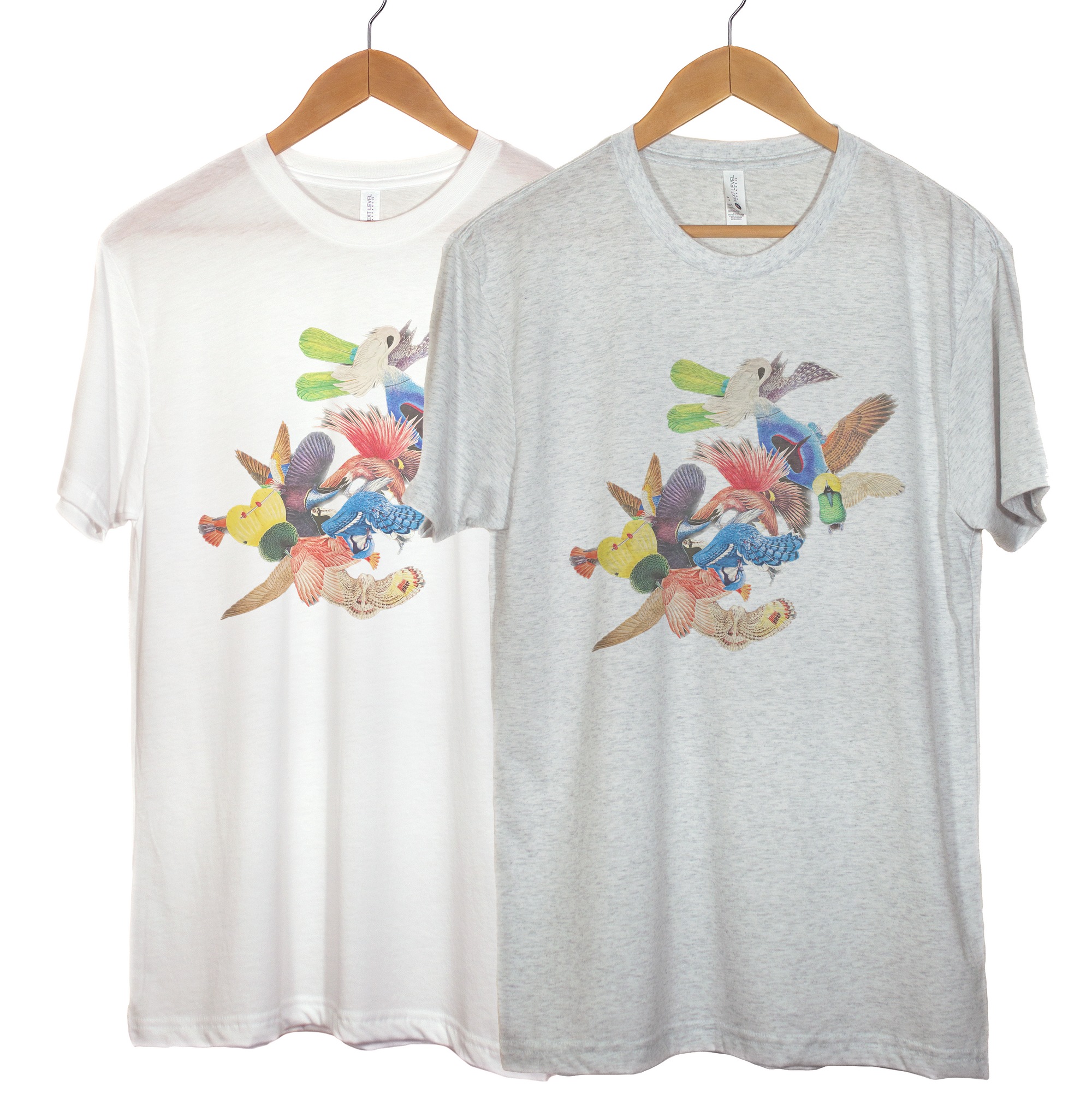 "Birds of a Feather" - Triblend Tee
