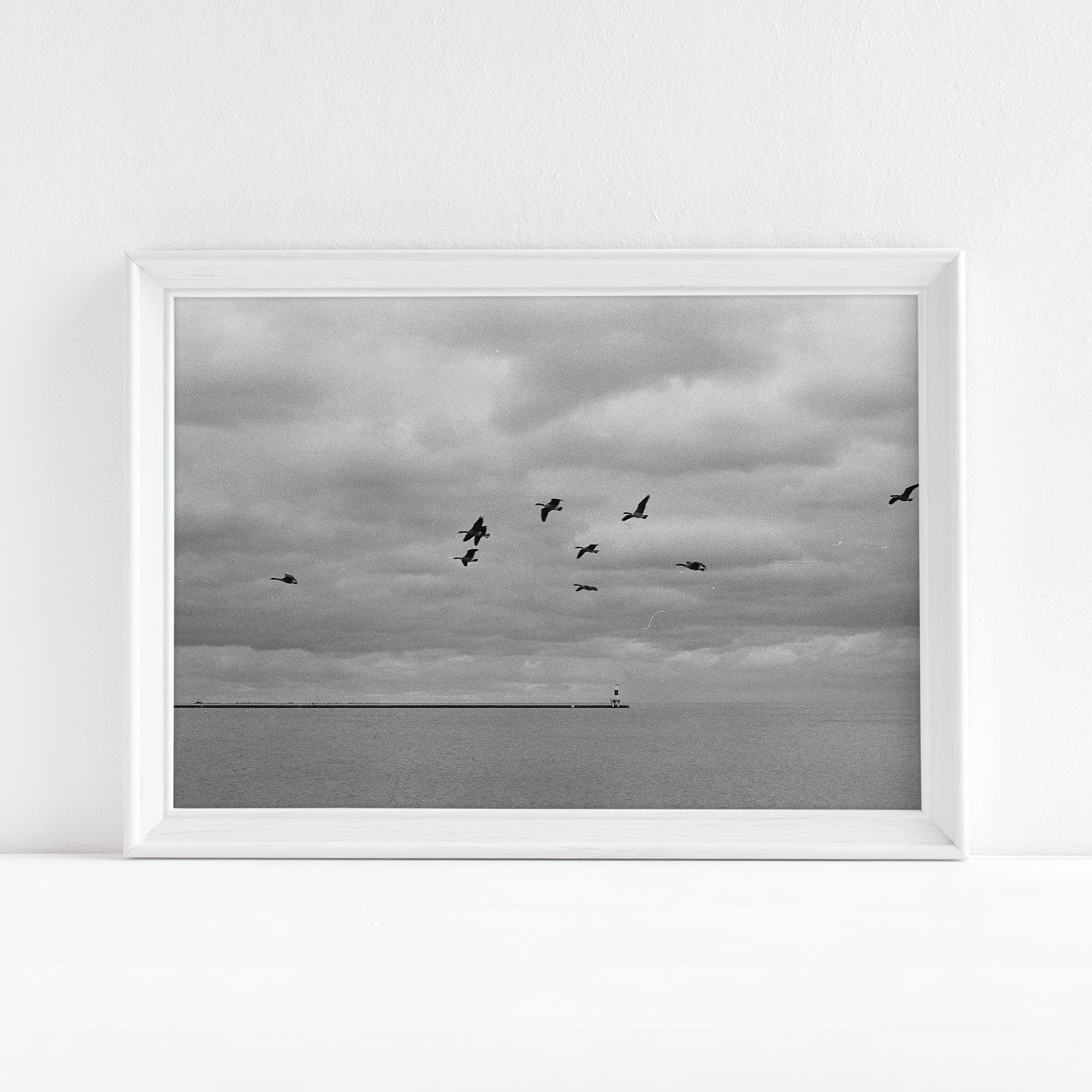 "birds" - Photography Print