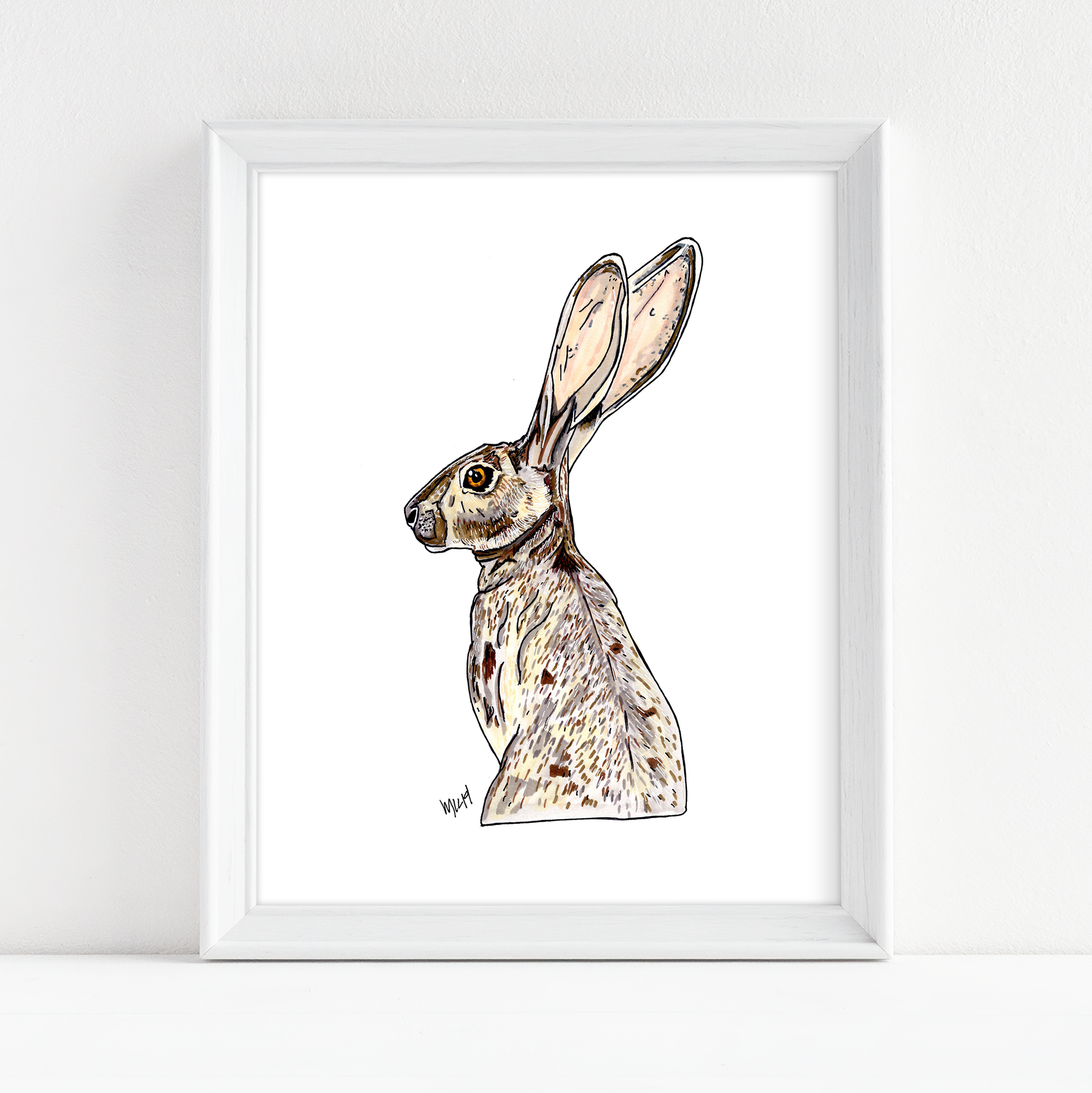 Jack Rabbit - Fine Art Print