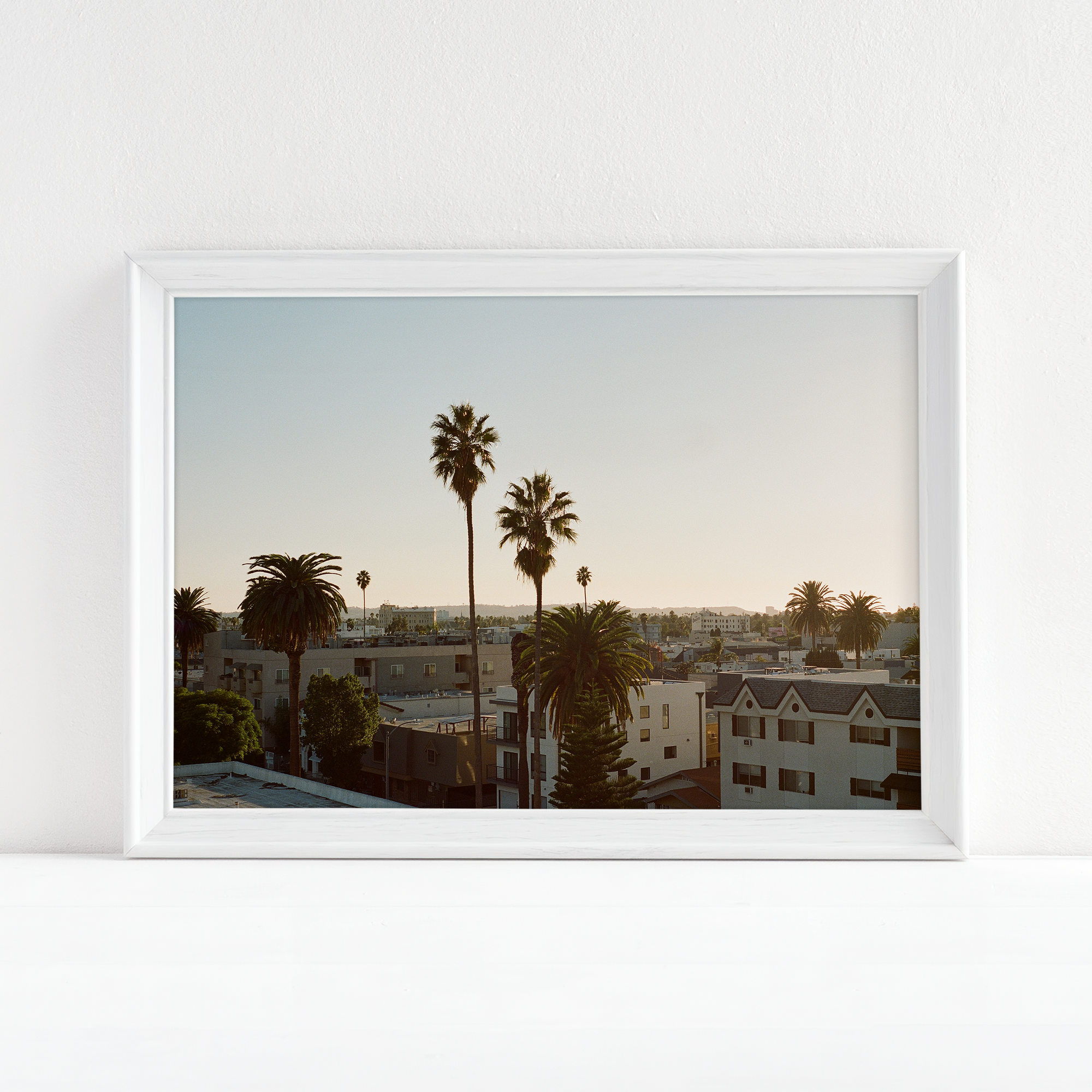"palms" - Photography Print