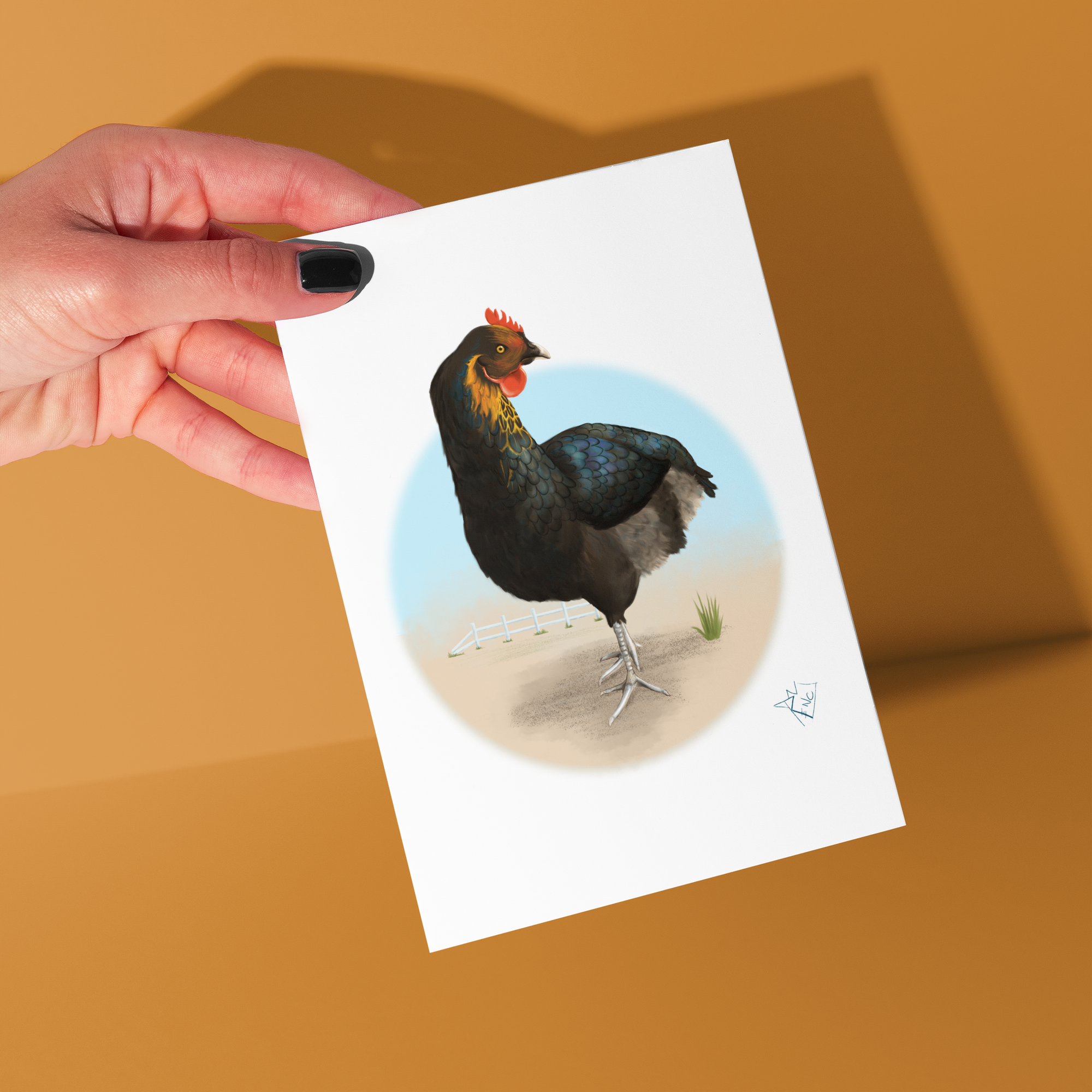 Rooster Animal Study - Greeting Card