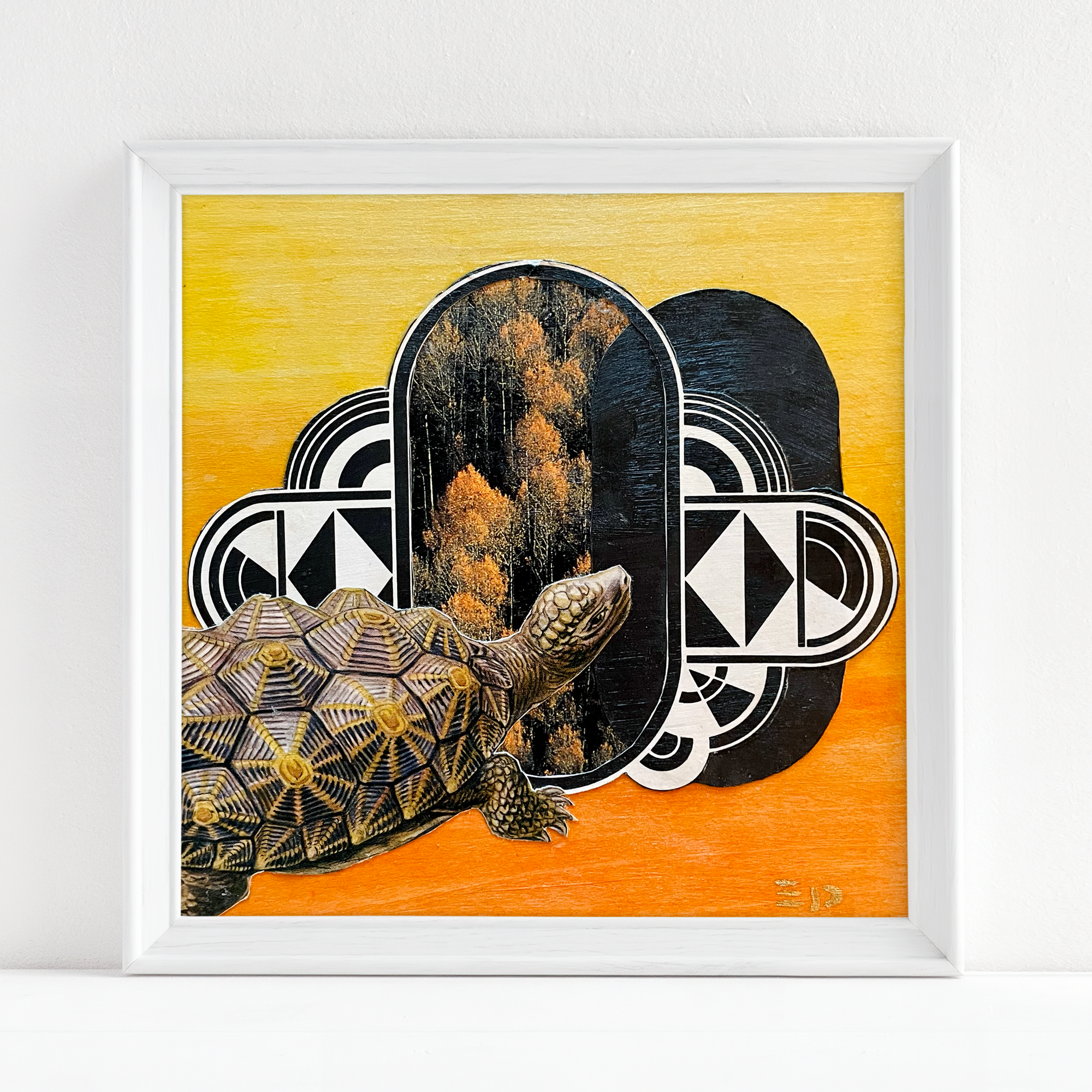"Tortoise Portal" - Fine Art Print