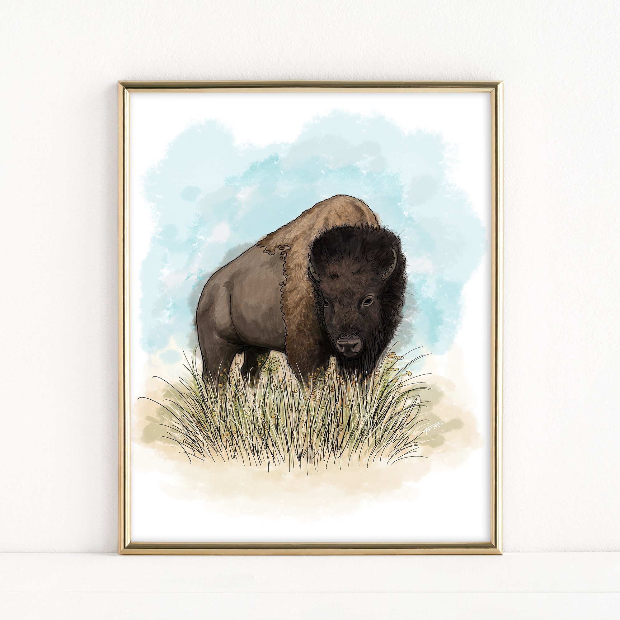 "American Bison" - Fine Art Print