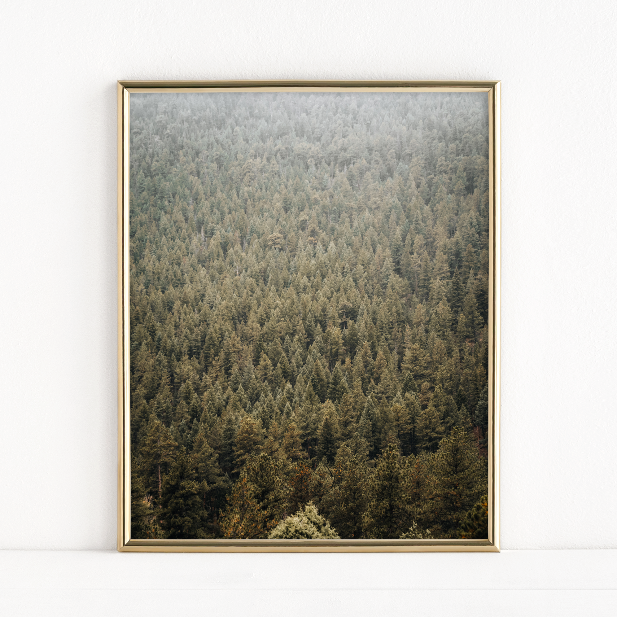 "Evergreen" Version 3 - Fine Art Print