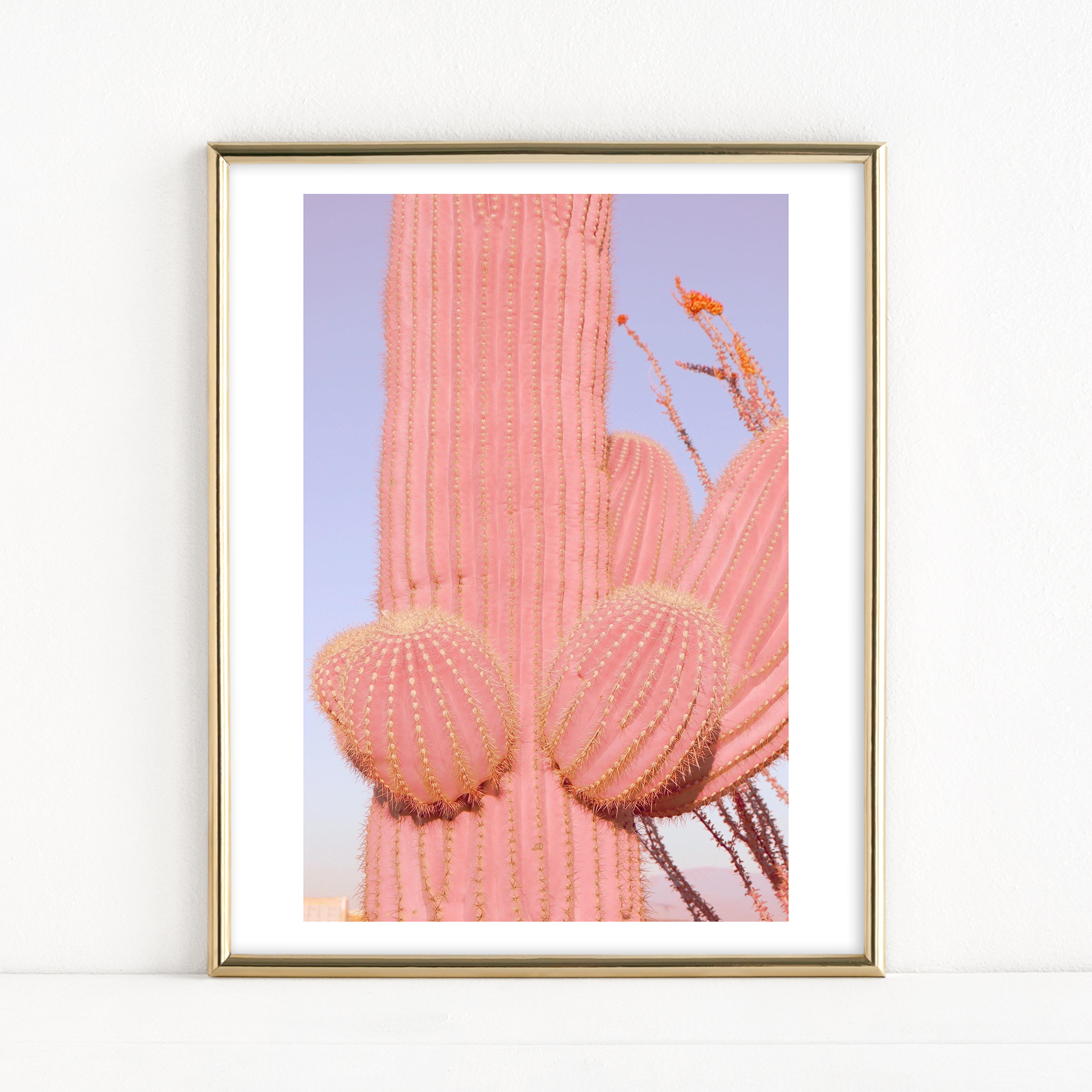 "Pink Saguaro" - Fine Art Print