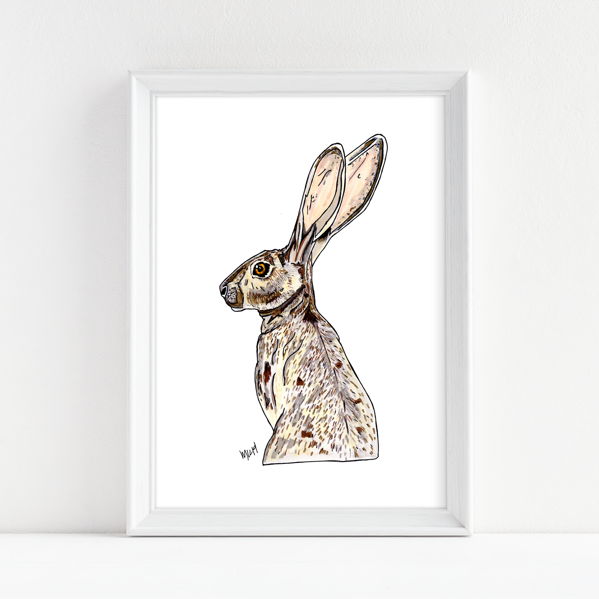 Jack Rabbit - Fine Art Print