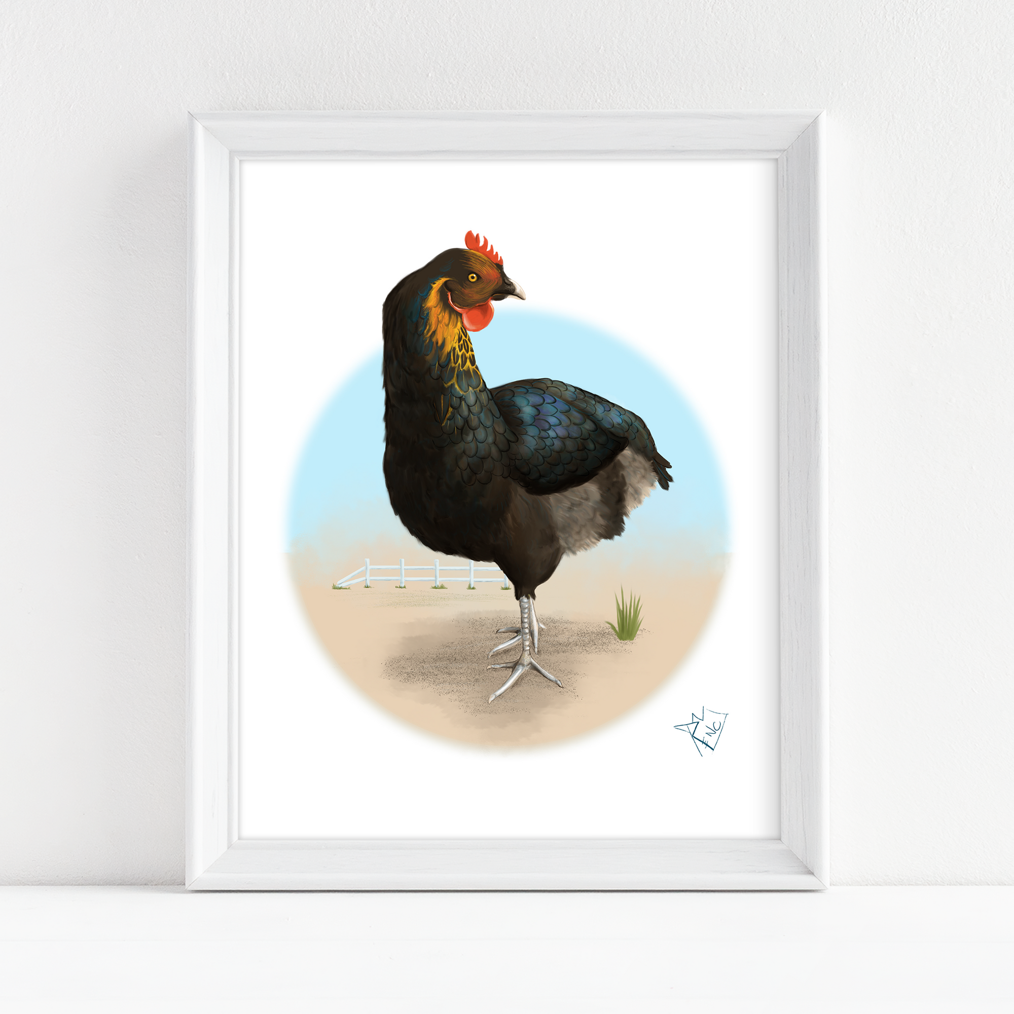 Rooster Animal Study - Fine Art Print