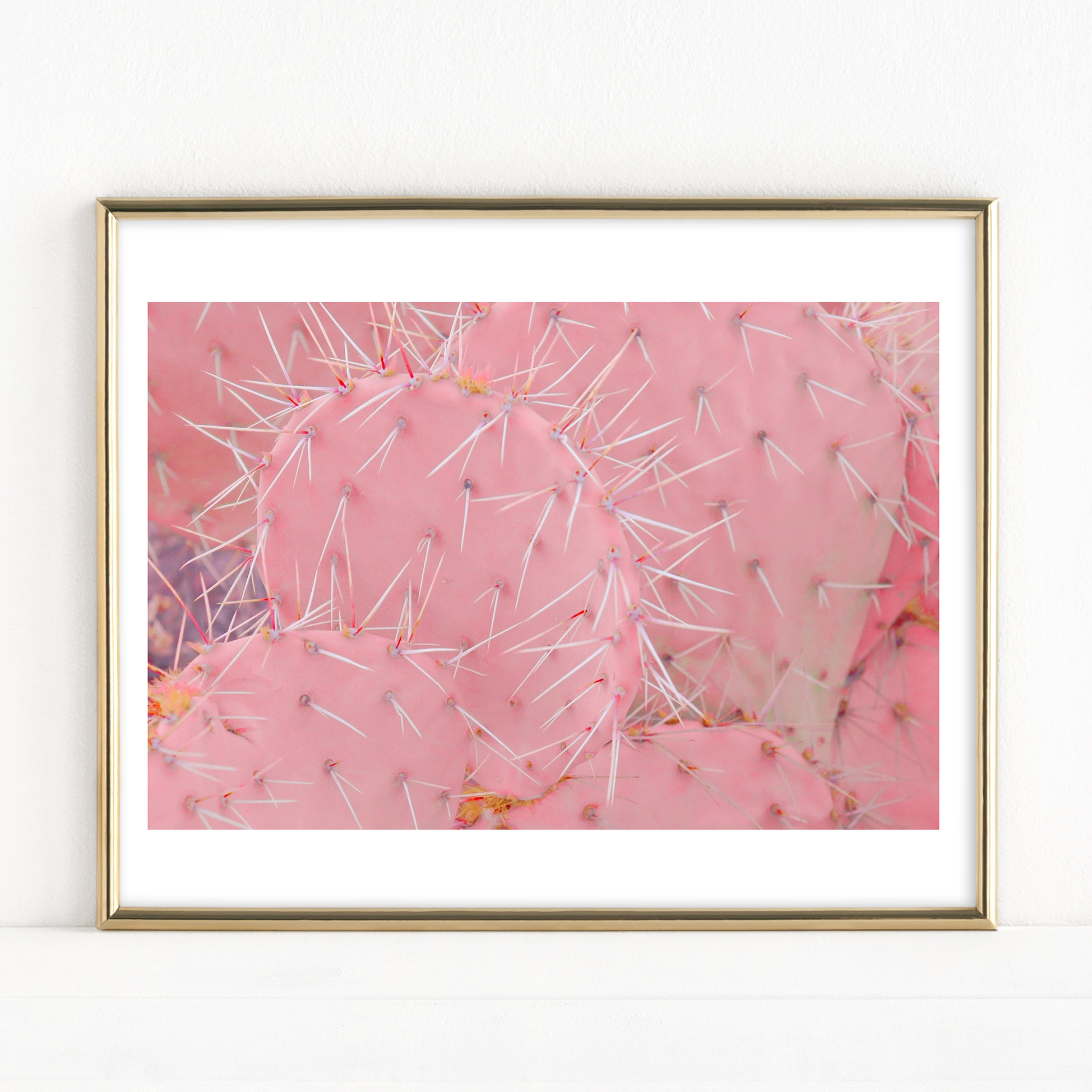 "Bubblegum Pricklies" - Fine Art Print
