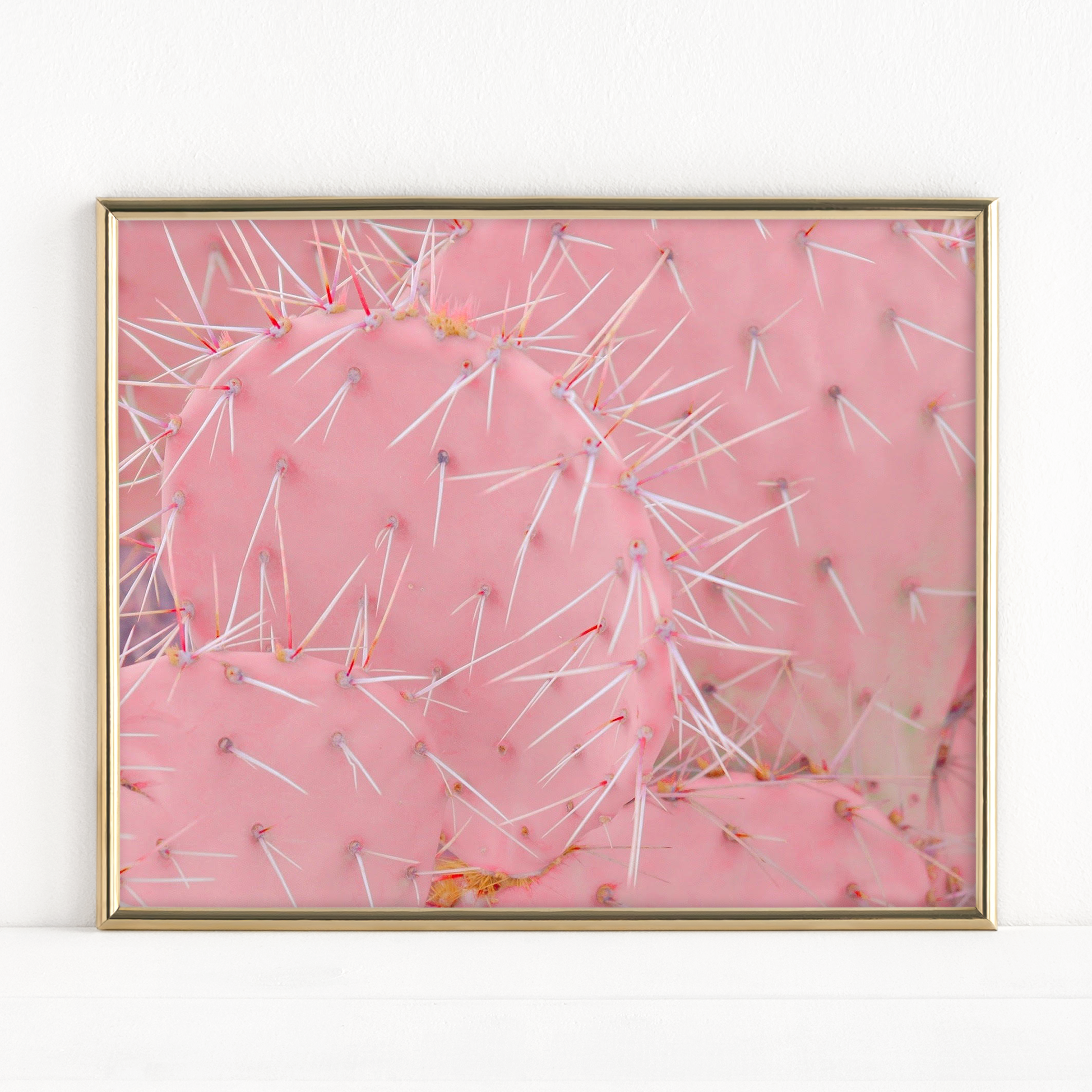"Bubblegum Pricklies" - Fine Art Print