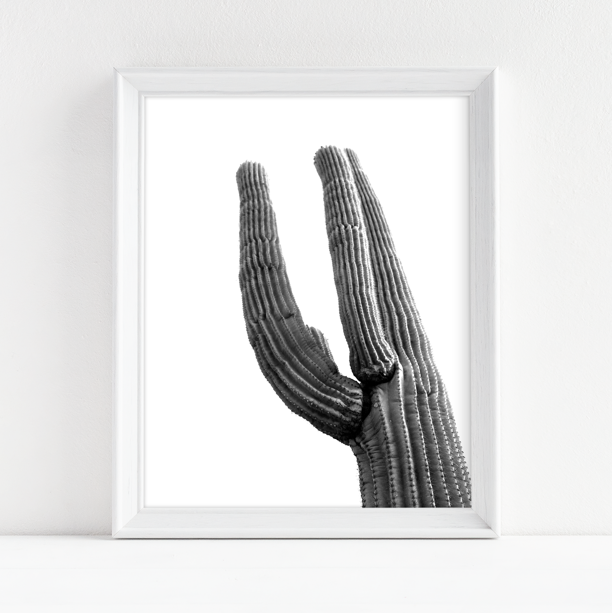 B+W Cactus Photo - Art Print