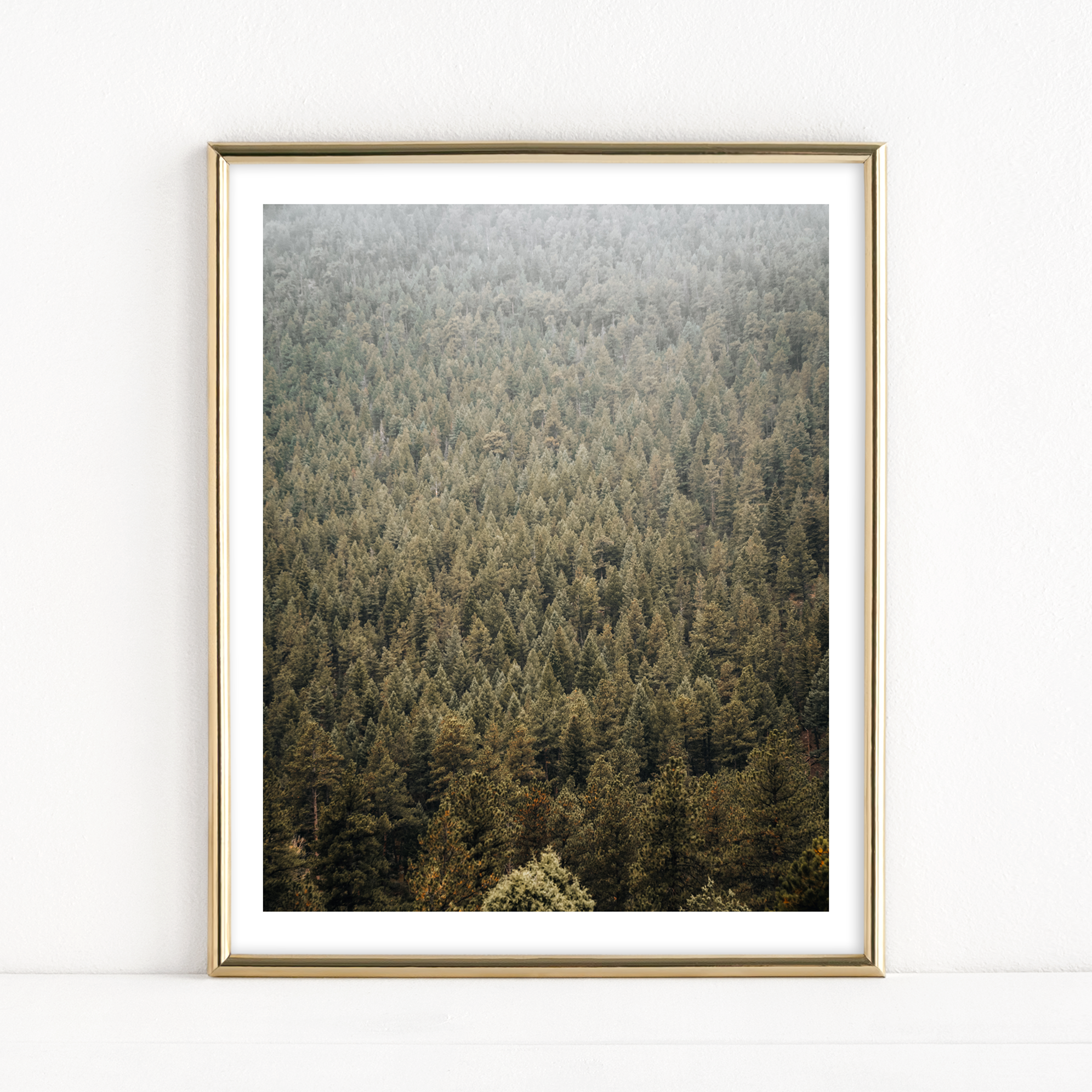 "Evergreen" Version 3 - Fine Art Print