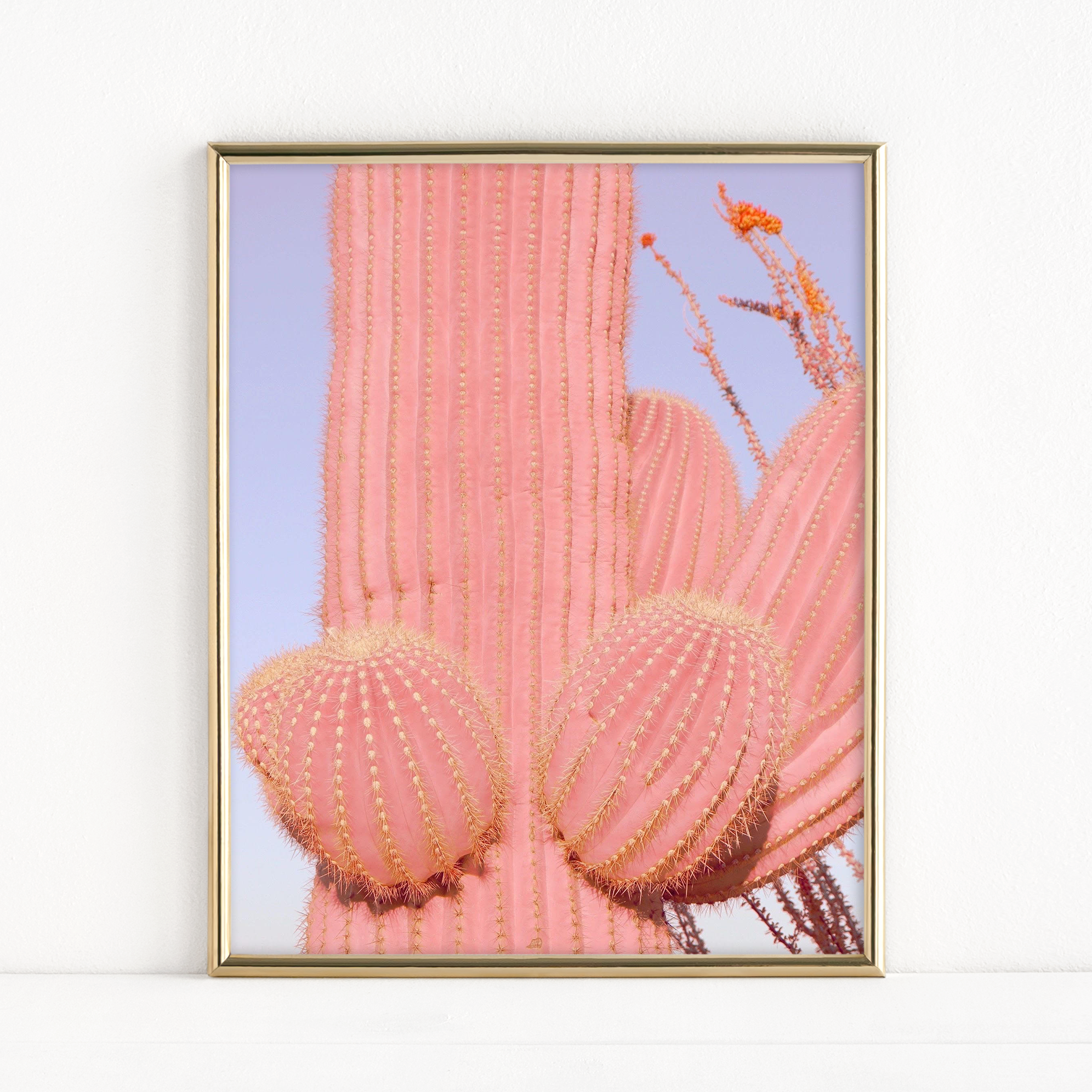 "Pink Saguaro" - Fine Art Print