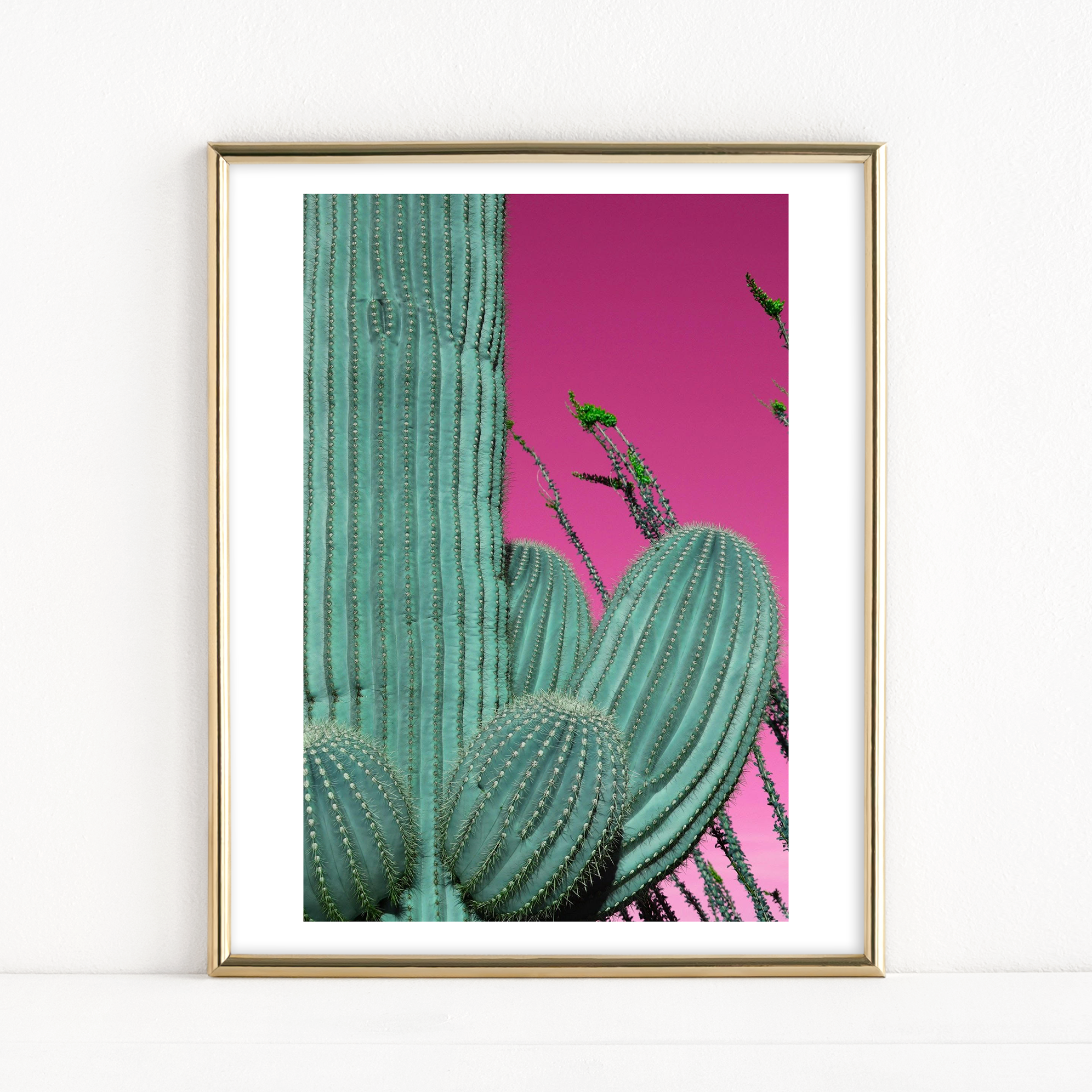 "Saguaro Dream" - Fine Art Print
