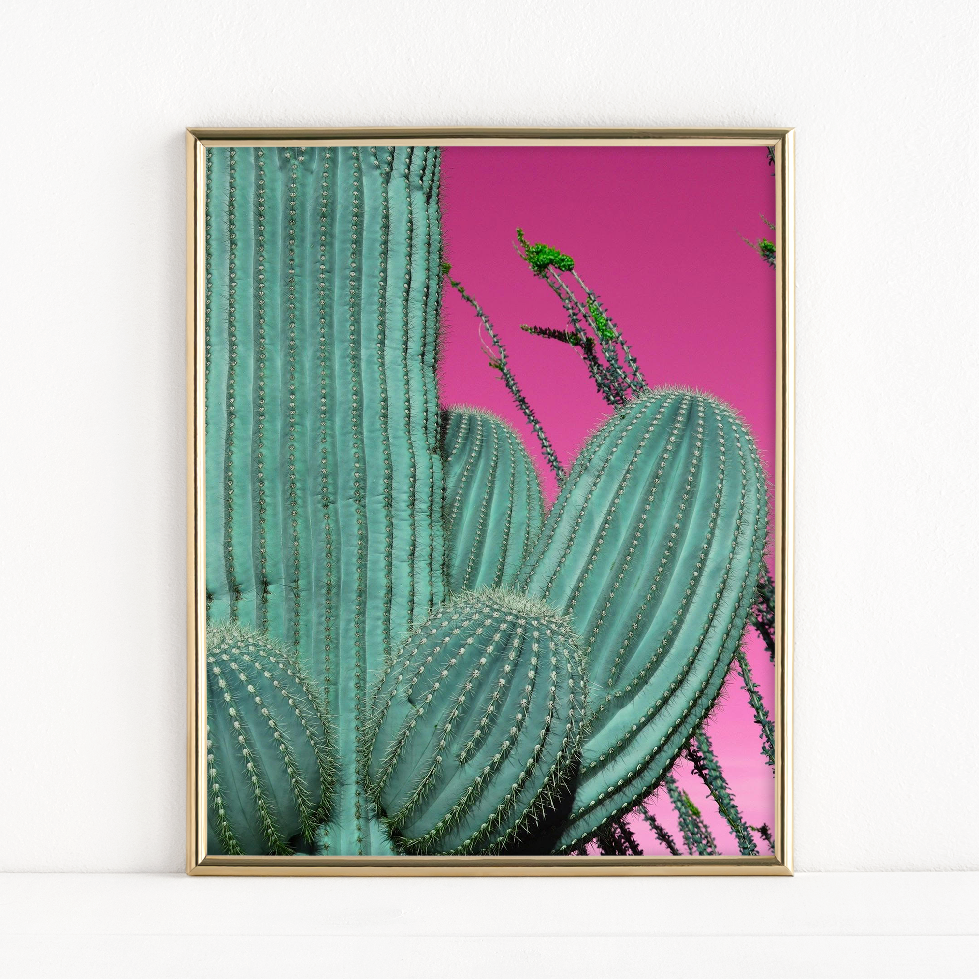 "Saguaro Dream" - Fine Art Print