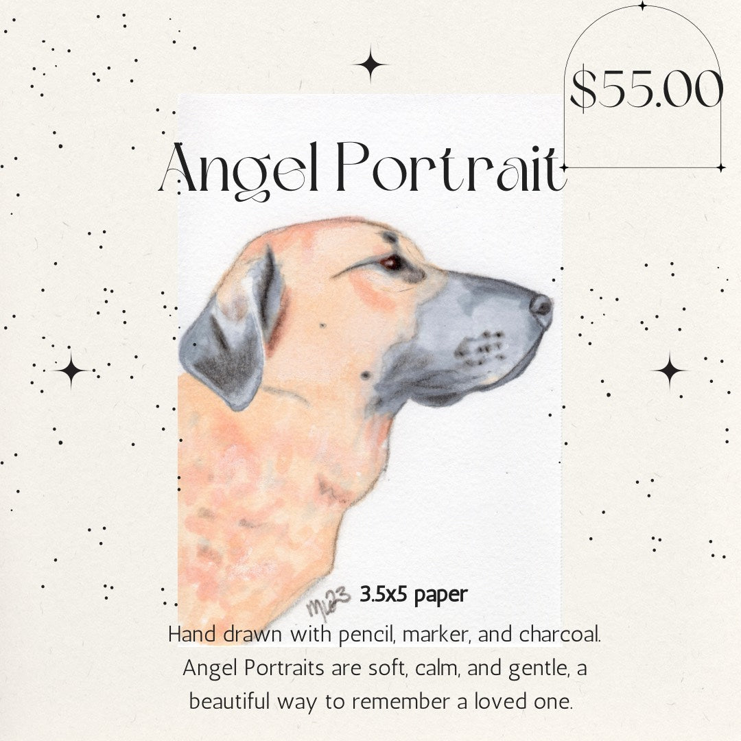 Angel Pet Portrait